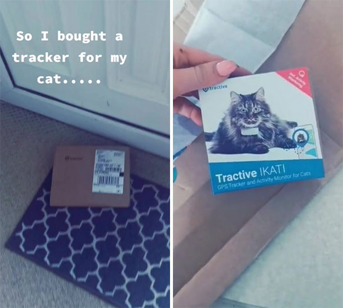 Aoife McAleer from Ireland got a GPS tracker for her cat. She wanted to know about her cat’s itinerary after it leaves the house.