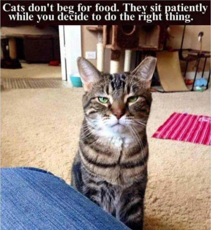 Creatures of sheer determination