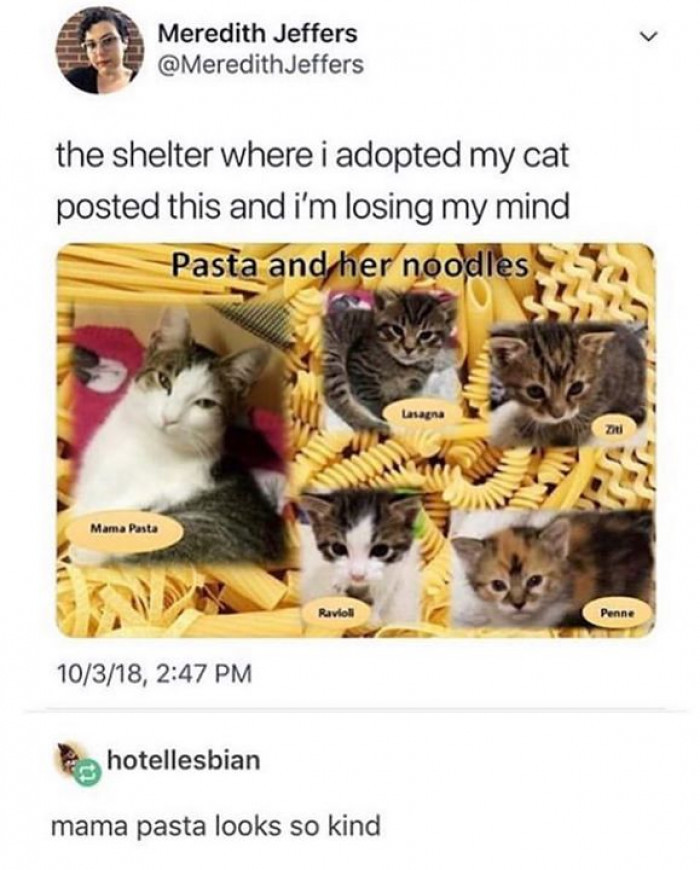 The only appropriate way to name a litter of kittens...