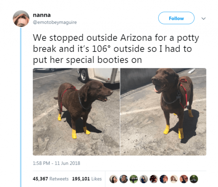Special Booties