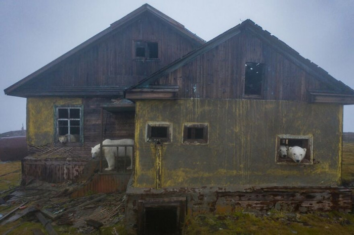 This is how the abandoned weather station on Kolyuchin Island in the Chukchi Sea looks like at a decent distance.