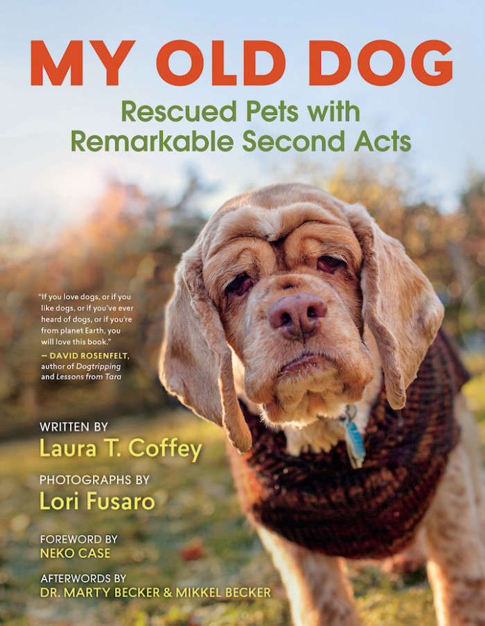 22. The book cover features Stacie, a female cocker spaniel who was rescued by Old Dog Haven.