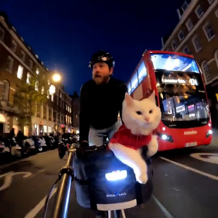 As well as exploring lots of exciting places in London, Travis has also taken Sigrid to parties and protests.