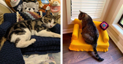 Crochet Cat Couches People Prove That No One Is More Creative Than Bored People
