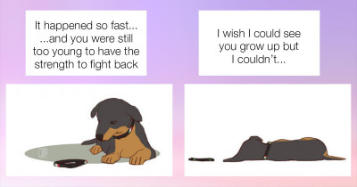 Artist Depicts The Tragedy Of Losing His Newly Adopted Puppies In A Touching And Sad Comic