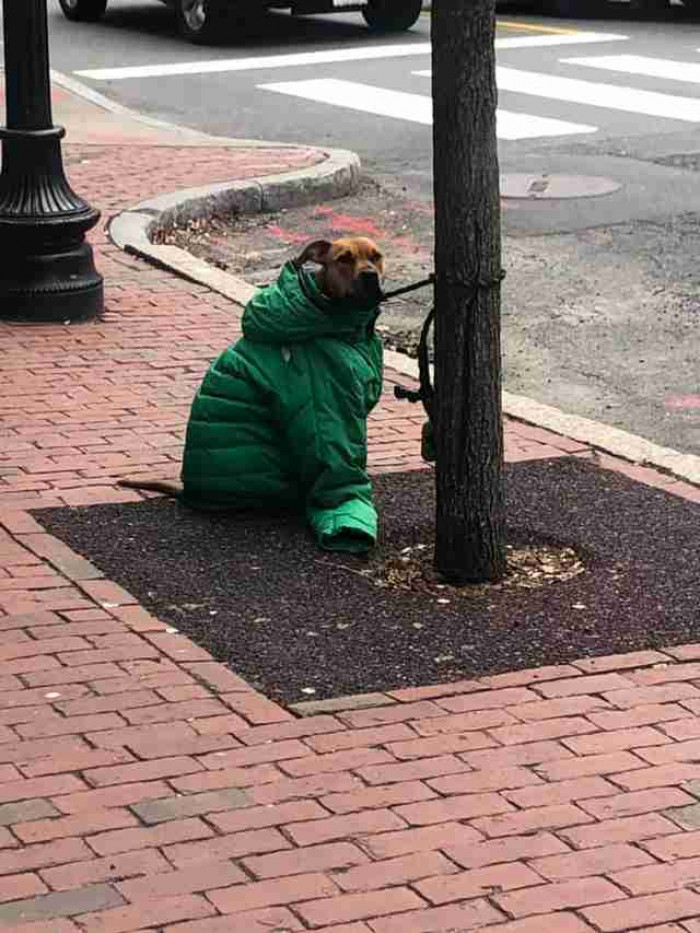 “As soon as she got up and walked past me, I told her that what she did was incredibly sweet and thoughtful,” Hollie said. “She just replied, ‘Thank you! I don’t want him to be cold!’”