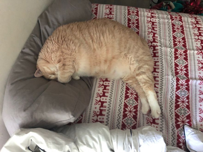 Exercising is very important for Bronson.