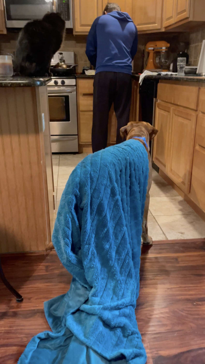 Of course he brings it to the kitchen, why would you think he wouldn't?