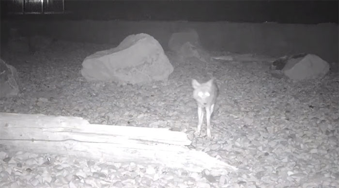 This is the kind of project that's worth repeating