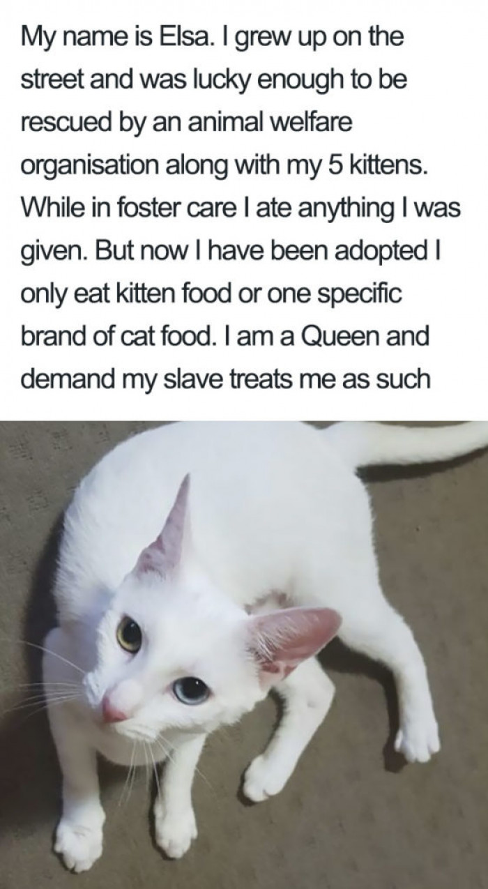 Her name is Elsa; I wouldn't expect any less.