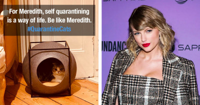 Taylor Swift's Cat Is Showing Everyone Just How They Should Master Self-Isolation