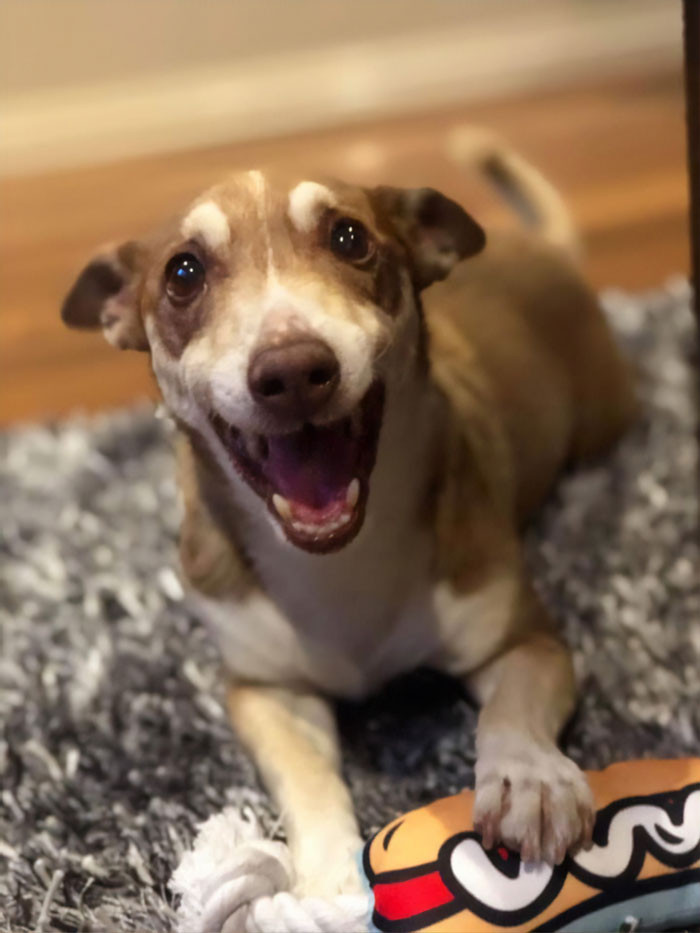 This is Bailey.
