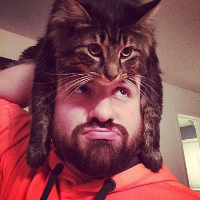 13. The kitty's color matches with the beard