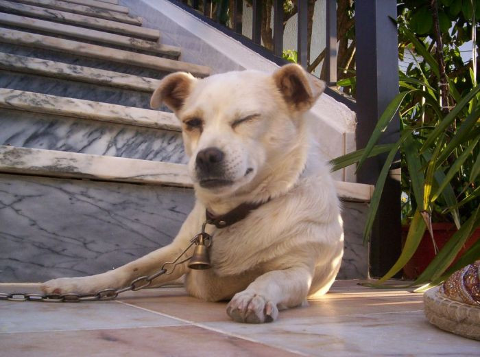 9. What's your verdict?