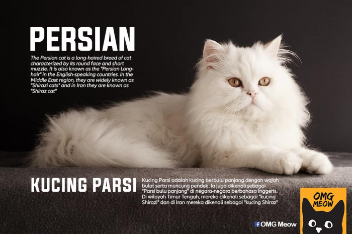 38. Persian