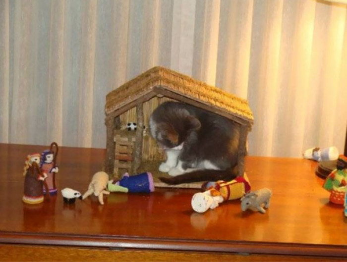 9. "This Is My House Now"