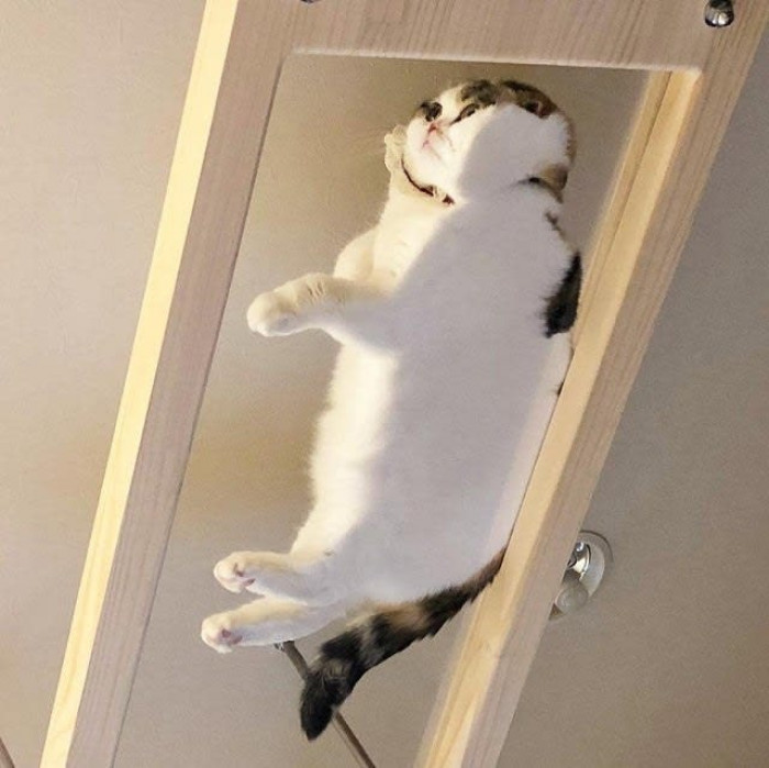 Maximum Smoosh