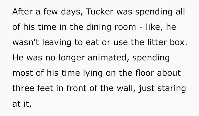 Tucker became obsessed with that dining room wall