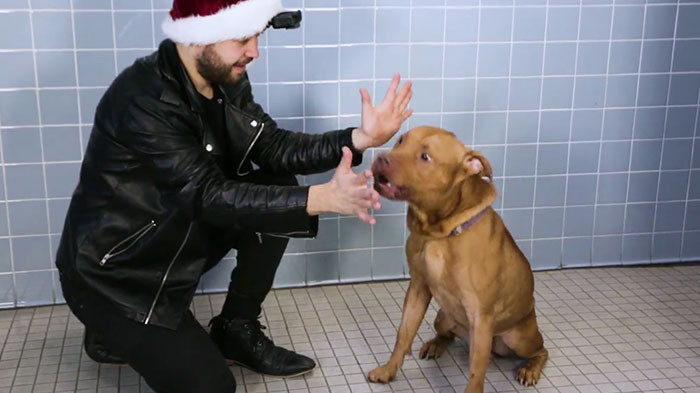 Director Rob Bliss watches as John shows magic tricks to rescued dogs.