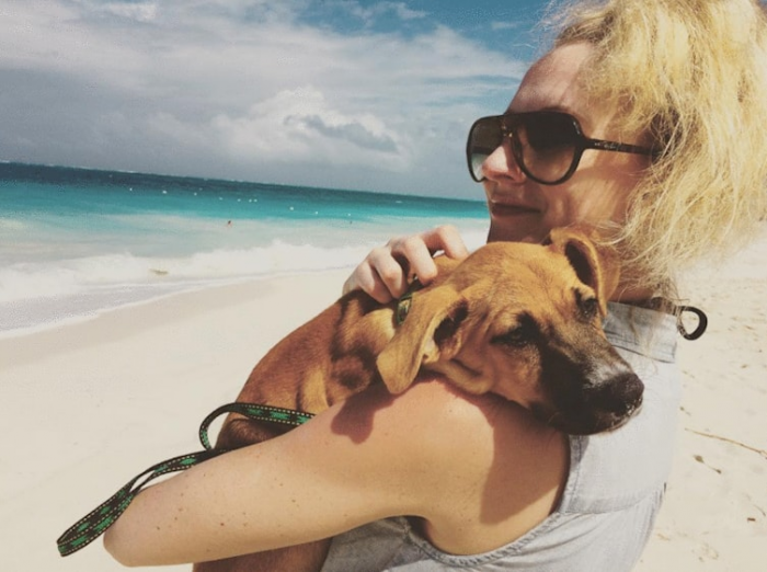 Adopting a dog from Potcake Place is completely free, but donations are encouraged as it is entirely volunteer-run.