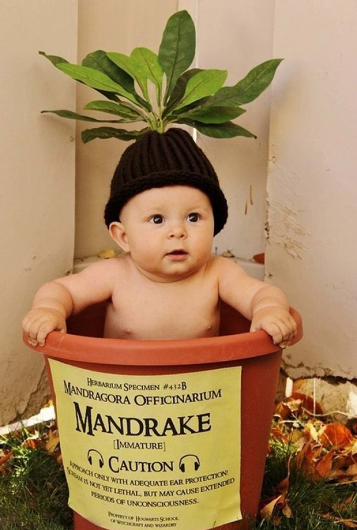 baby mandrake costume