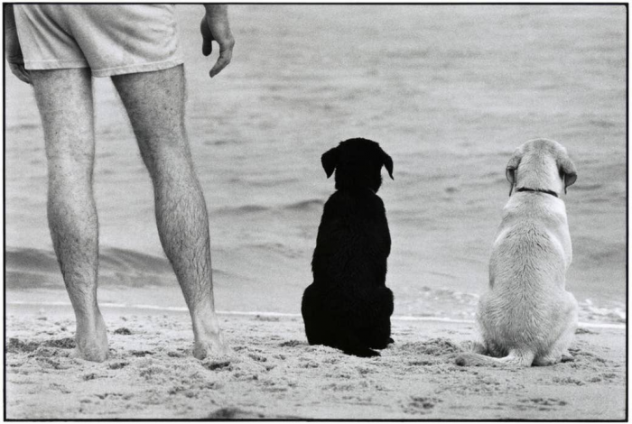 20. Amagansett, New York, 1990