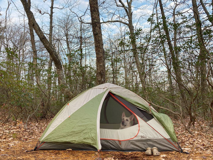 Camping trip!