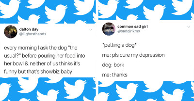 15 Very Relatable Posts About Dogs You Probably Already Saw A Thousand Times