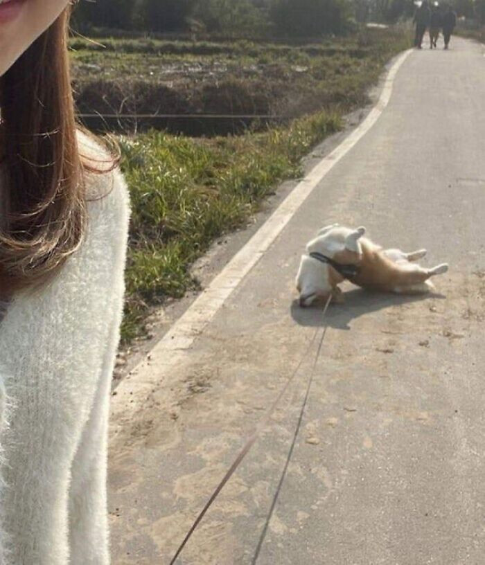 9. No... I don't want to walk, please!