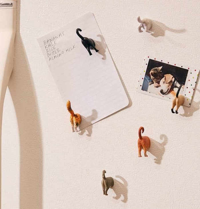 Cat Butt Magnets