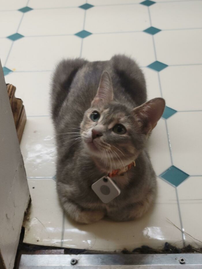 20. I'm a sucker for bread-themed pet names