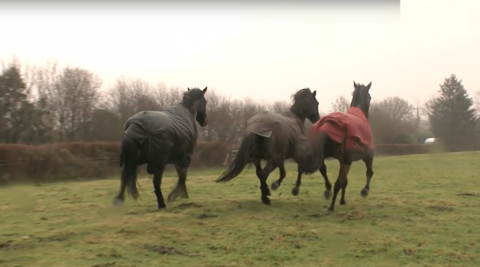 They recognized each other immediately, and after hugging, they went for a long run.