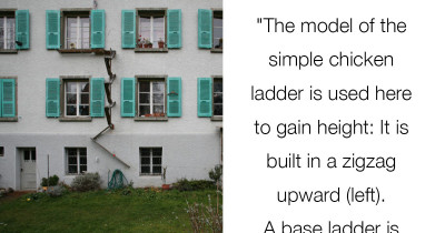 This City In Switzerland Has Ladders For Wandering Cats To Climb On And It's The Greatest Thing