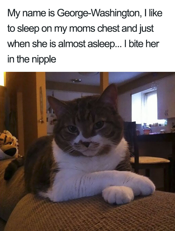 ... That's just mean, Mr. President.