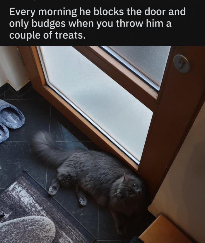 11. You simply must pay the toll.