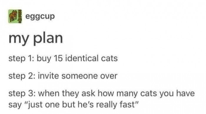 17. Ingenious Plan