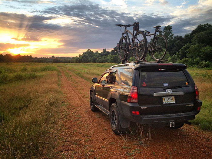 Robert decided to proceed with the surgery and have Bella's leg amputated.