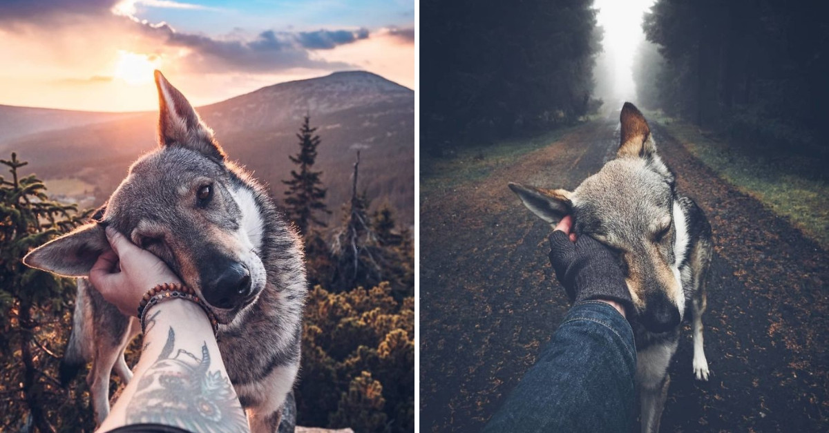 Czech Photographer Takes Photos Petting His Dog And They Are Anything But Ordinary