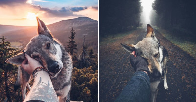 Czech Photographer Takes Photos Petting His Dog And They Are Anything But Ordinary