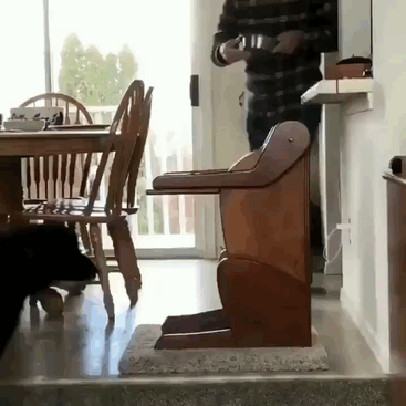 The family responded perfectly by building what is known as a 'Bailey Chair,' a device that allows the doggo to sit upright while eating dinner.