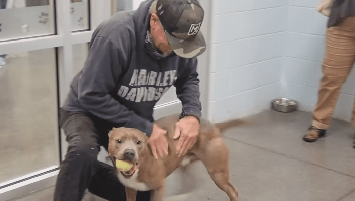 Blue finally met his dad!