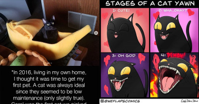 These Comics Accurately Show What It Is Like To Have A Cat