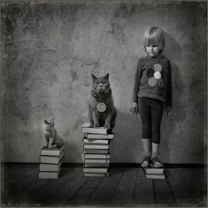 Katherine previously owned just Lilu, but with the addition of the little kitten, her joy has doubled.