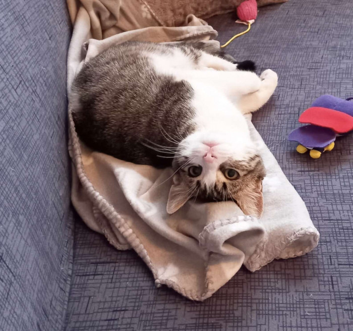 Gizmo is one clingy boy to his mom.