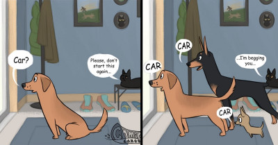 Comic Depicting Cat's Reaction To Barking Dogs Is Seriously Hilarious