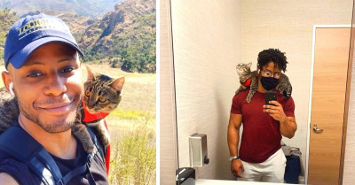 Adorable Kitten Loves To Be Carried Around On His Dad's Shoulders