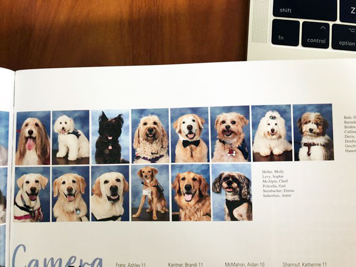 Students and therapy dogs pose together for the yearbook memorial project