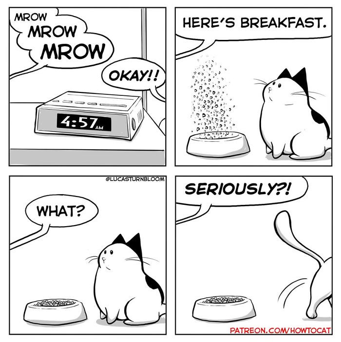 Artist Creates Adorable Comics About The Cat He And His Wife Rescued ...