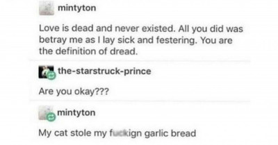 Perfect Tumblr Posts About Cats To Make Your Day Significantly Better