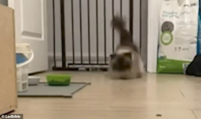 He lands perfectly on the other side.